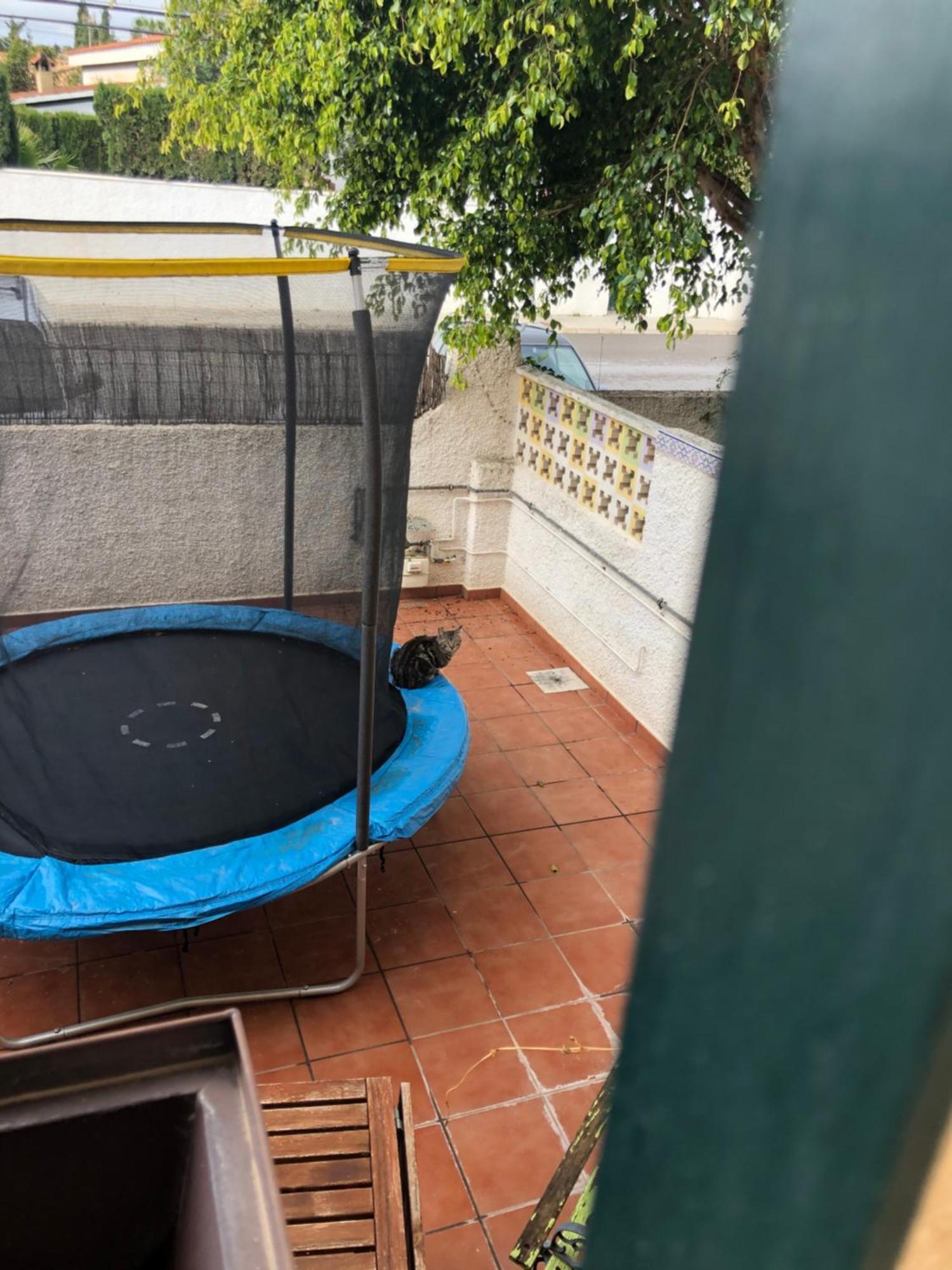 Casa En La Huerta De Mutxamel Villa Ngoại thất bức ảnh